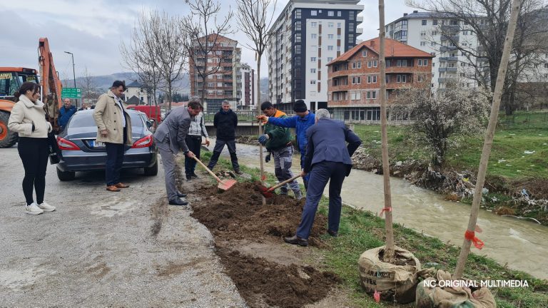 U Tutinu posađena stabla dobijena u akciji DDOR osiguranja “Za šumu u tvom kraju”