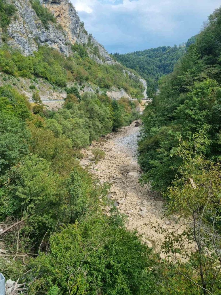 Ekološka katastrofa kod Dračenovca: Ibar presušio, pomor ribe